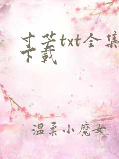 寸芒txt全集下载