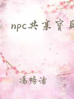 npc共享宝贝