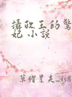 摄政王的惊世嫡妃 小说