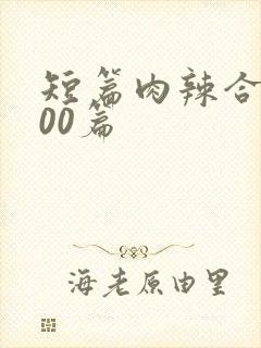 短篇肉辣合集500篇