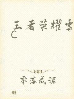 王者荣耀云缨被C