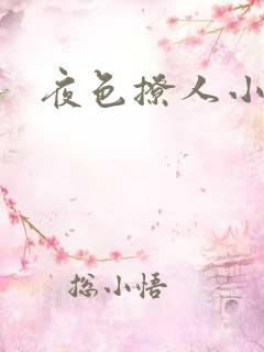 夜色撩人小说