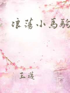 浪荡小马驹