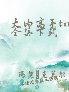 大内高手txt全集下载