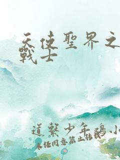 天使圣界之神之战士