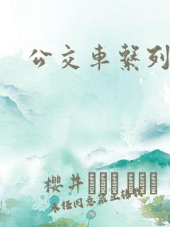 公交车系列说说