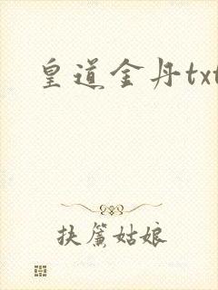 皇道金丹txt