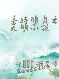 秦时明月之夜尽天明小说