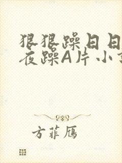 狠狠躁日日躁夜夜躁A片小说