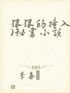 狠狠的撞入(h)秘书小说