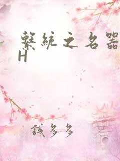 系统之名器勾男H