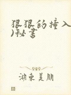 狠狠的撞入(h)秘书