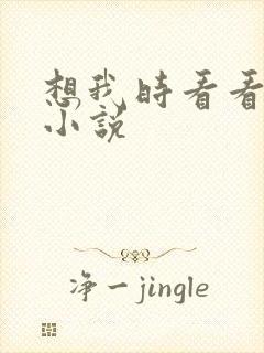 想我时看看星空小说