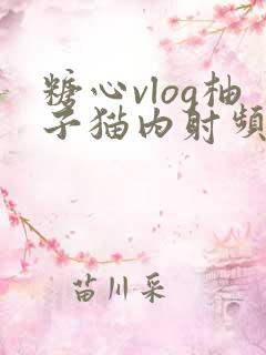 糖心vlog柚子猫内射频
