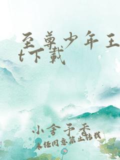 至尊少年王txt下载