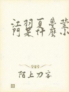 江羽夏梦莹神谕门是什么小说