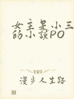 女主是小三很婊的小说PO