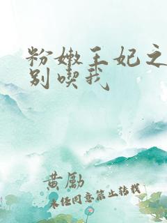 粉嫩王妃之殿下别吃我