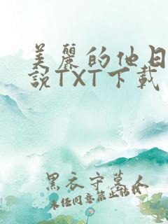美丽的他日剧小说TXT下载