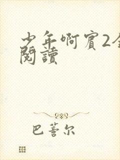 少年啊宾2全文阅读