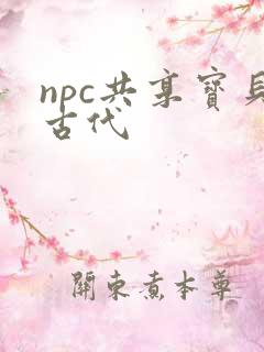 npc共享宝贝古代