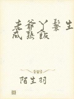 老爷丫鬟生米煮成熟饭