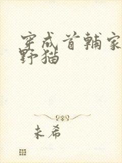 穿成首辅家的小野猫