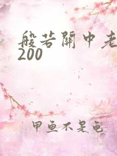 般若关中老人5200