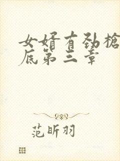 女婿有劲枪枪到底第三章