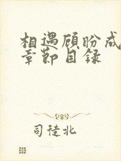 相遇顾盼成欢全章节目录