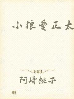 小狼爱正太