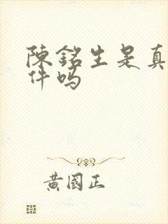 陈铭生是真实事件吗