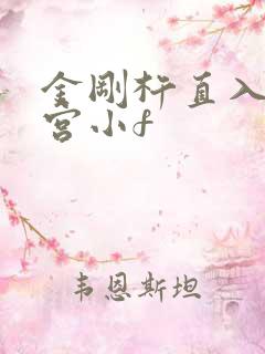 金刚杵直入莲花宫小f