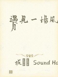 遇见一场风花雪月