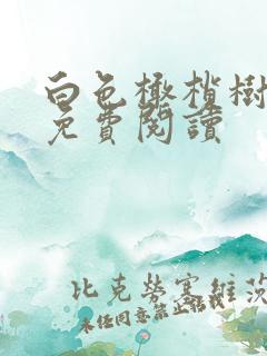 白色橄榄树全文免费阅读