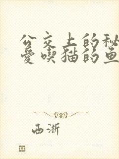 公交上的秘密 爱吃猫的鱼