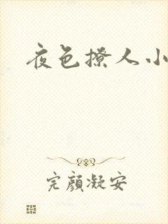 夜色撩人小说
