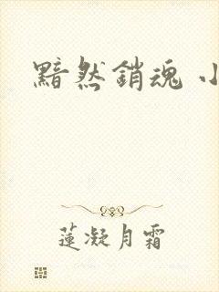 黯然销魂 小说