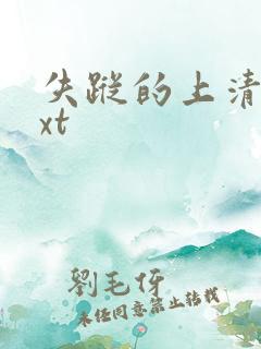 失踪的上清寺txt