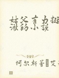 姑父有力挺送徐湫的小说