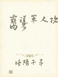 霸道军人攻现代肉多