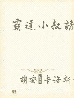 霸道小叔请轻撩