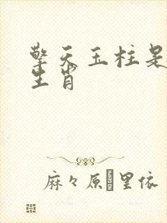 擎天玉柱是什么生肖