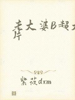 老大婆B超大图片