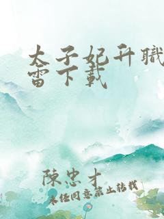 太子妃升职记迅雷下载