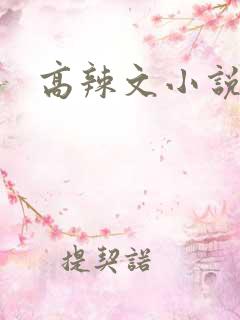 高辣文小说