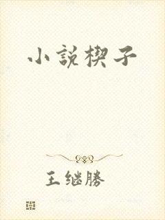 小说楔子