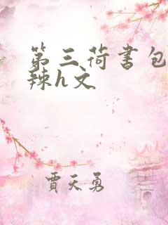 第三荷书包网高辣h文