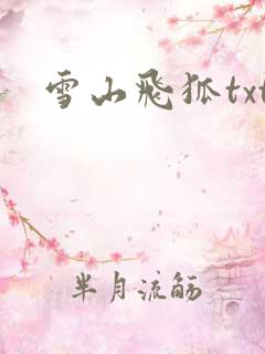 雪山飞狐txt