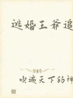 逃婚王爷追逃妃